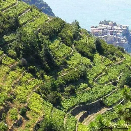 Дом отдыха Liguria