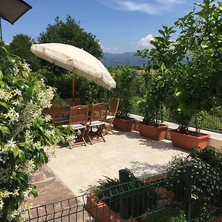 Liguria * Амелия