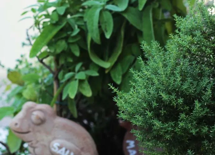 Prázdninový dům Liguria *