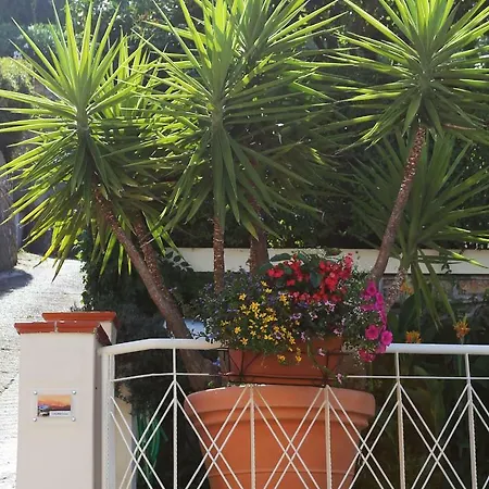 Liguria * Амелия