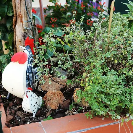 Liguria Holiday home Ameglia