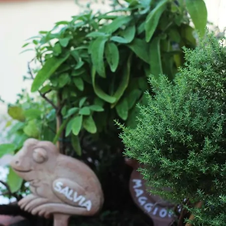 Сasa de vacaciones Liguria *